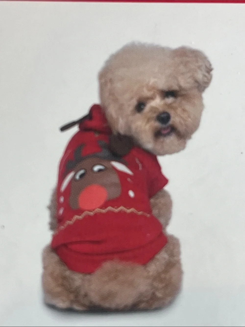 Red Reindeer Holiday Dog Hoodie - Cozy Seasonal Pet Sweatshirt